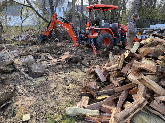 tree stump removal